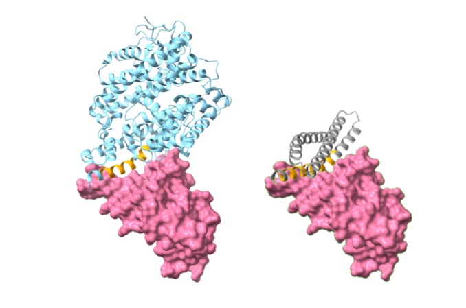 figure 2 blog 8