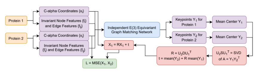 independent se(3)-equivariant models for end-to-end rigid protein docking